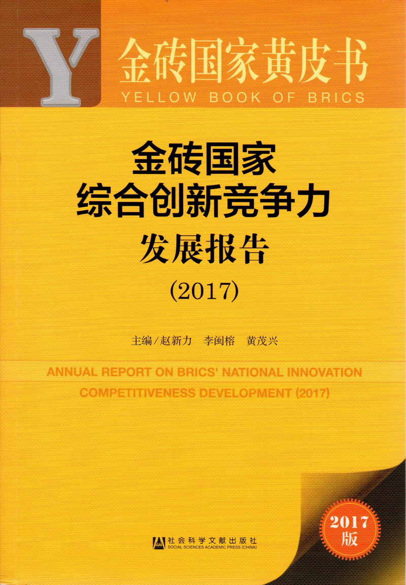 操逼视频小骚货金砖国家综合创新竞争力发展报告（2017）